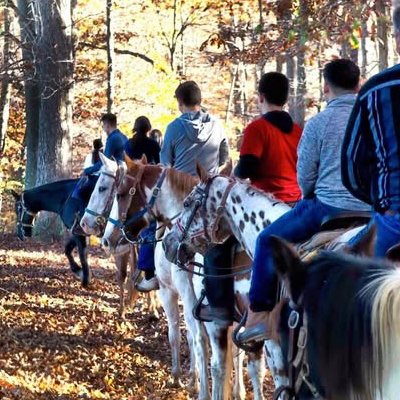 Line of riders in autumn forest