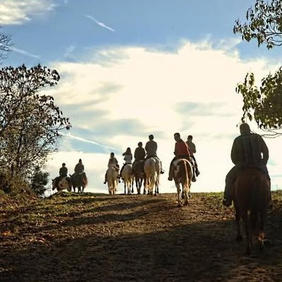 Group riding over hill at sunset