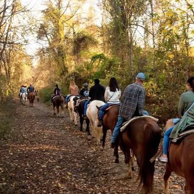 Trail group riding through golden trees