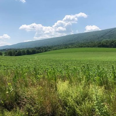 Open countryside with rolling hills