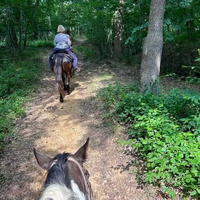 Shaded woodland trail, rider ahead