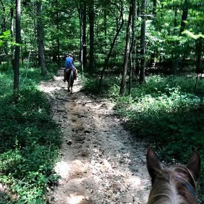 Rocky forest path with riders