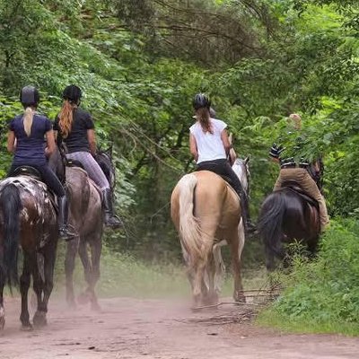 Riders on leafy green trail
