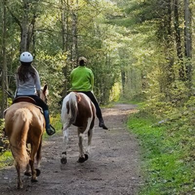 Two riders on dappled woodland path