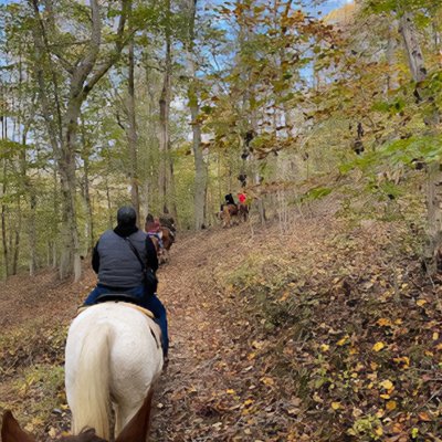 Autumn hillside ride